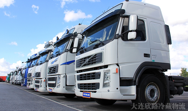 冈本视频APP网址陆运