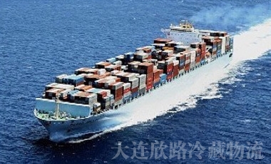 冈本视频APP网址海运