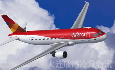 冈本视频APP网址空运